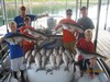 (08/18/2014) - Nice Striped Bass